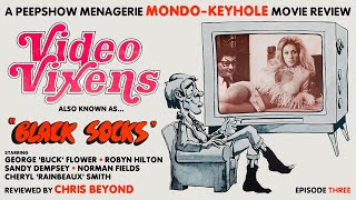 Video Vixens 1974 Movie Review [upl. by Etka]