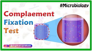 Complement Fixation test  Microbiology animations [upl. by Zaria]