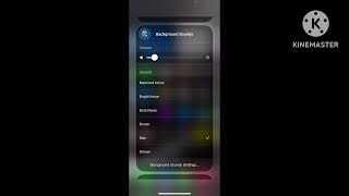 How To Record Screen On IPHONE With Audio 😲  Screen Recording On IPHONE [upl. by Coussoule]