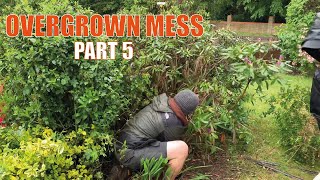 This Homeowner NEEDED Help  Free Overgrown Yard Makeover  Part 5 [upl. by Derward]