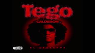 Abayarde  Tego Calderon [upl. by Yl480]