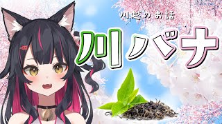 3月も川越で粋な時間をすごそう♪ 雑談【彩河たまよ新人VTuber】 [upl. by Nosmirc]