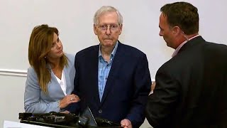 Mitch McConnell Appears to Freeze While Talking to Reporters [upl. by Ahseyi]