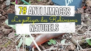 7 3 Astuces naturelles contre les limaces au potager  permaculture [upl. by Hgielah]