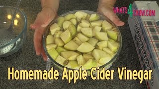 3 Healthy Ways to Use Apple Cider Vinegar [upl. by Averyl]