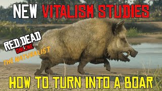 Red Dead Online New Vitalism Studies Pamphlet How to Turn Into a Boar [upl. by Isaiah]