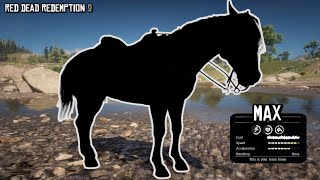 YesThis is the Fastest Horse in the Game and it is not a Thoroughbred  Red Dead Redemption 2 [upl. by Dent219]