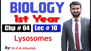 Lysosomes  Chapter 4  1st year Biology  Lec  10 [upl. by Hesler]