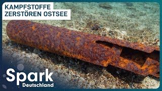 Gefährliche Munition in der Ostsee  Kampfmitteltaucher im Einsatz  Spark Deutschland [upl. by Avir19]