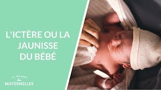 Lictère ou la jaunisse du bébé  La Maison des maternelles LMDM [upl. by Wilkens]