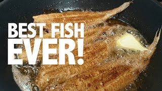 How to cook and prepare the perfect Dover sole  Classic a la meunière recipe [upl. by Yezdnil]