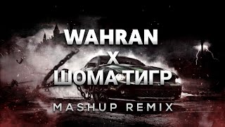 Randall Wahran x Asanrap Шома тигр  Wahran Russian Remix [upl. by Yellat]