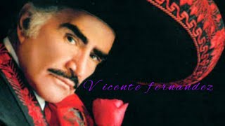 Vicente fernandez mix [upl. by Yellhsa]