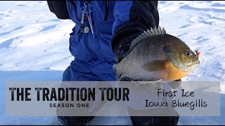 First Ice Iowa Bluegills The Tradition Tour S 1 E 1 [upl. by Rezzani727]