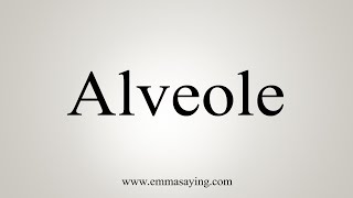 How To Say Alveole [upl. by Ayahs561]