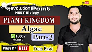 plant KingdomAlgaeclass 11part2 NEET 2025 neet2025 RevolutionPointpankaj [upl. by Ocirederf204]