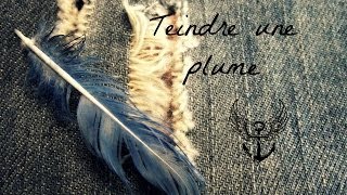 Comment teindre une plume [upl. by Nahtanoy]