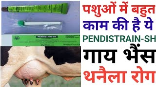 Pendistrinsh cow buffalo mastitis usesIntramammary infusion Antibiotics Pendistrin doses animal 🐐 [upl. by Elik]