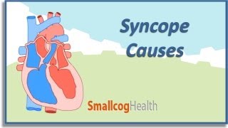 Syncope Causes [upl. by Latoya]