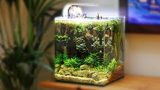 BEAUTIFUL LOWTECH NANO AQUASCAPE NONCO2 [upl. by Gilboa]