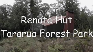 Renata Hut  Tararua Forest Park [upl. by Wells]