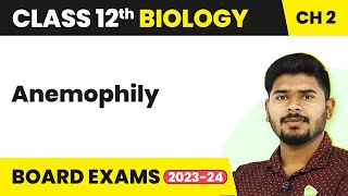 Anemophily  Sexual Reproduction in Flowering Plants  Class 12 Biology Ch 2 NCERTNEET 202223 [upl. by Malva]