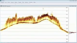 CEE HydroSystems CEESCOPE™ CEE ECHO™ Sub Aquatic Vegetation Canopy Detection 200 kHz [upl. by Seyah]