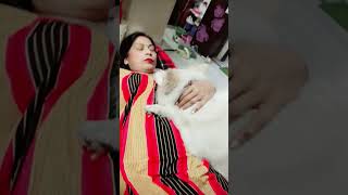 Mamma loves tonu🐶🥰 dog doglover dog dogowner shortsvideo love maa [upl. by Kciremed]