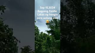 Sep 152024bagyong Ferdie walang ulan pero hangin malakas po🤣 [upl. by Ecirpac]