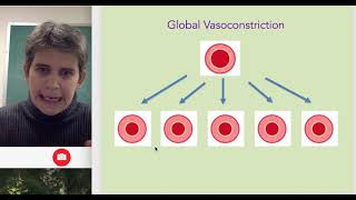 Vasoconstriction and Vasodilation [upl. by Anaic]