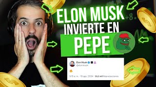 SI NO LLEVAS LA MEMECOIN PEPE ESTÁS PERDIDO EN EL BULLRUN  ELON MUSK [upl. by Aynotel723]