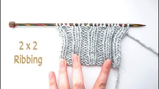 How to Knit DOUBLE RIBBING  2x2 Rib Stitch Knitting Pattern  Simple Lesson for Beginners [upl. by Ardnoet]