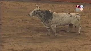 Thunder Rolls bucks Chris Shivers  01 PBR Worcester [upl. by Bogart]