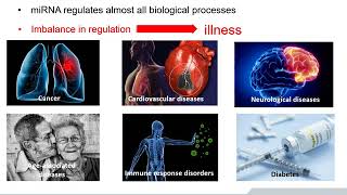 Insight to miRNA – From Discovery to Biomarker Application  BioVendor 05 [upl. by Noevart]