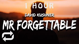 1 HOUR 🕐  David Kushner  Mr Forgettable Lyrics hello hello are you lonely [upl. by Maya121]