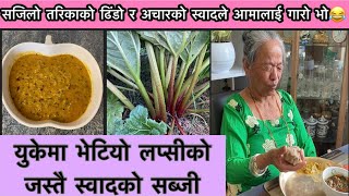 How to make Rhubarb spicy pickle  Easy style cooking dhido  Allotment uk [upl. by Nuj926]