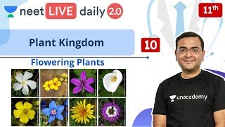 NEET Plant Kingdom  L10  Angiosperms  Class 11  Live Daily 20  Unacademy NEET  Pradeep Sir [upl. by Audris]