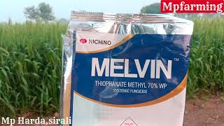 Melvin fungicide nichino  thiophanate methyl 70 wp  Melvin fungicide  nichino India pvt ltd [upl. by Nosyk987]