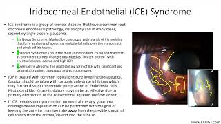 Lecture Iridocorneal Endothelial ICE Syndrome 1 Slide in 5 Minutes [upl. by Adlemy]