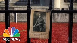 Armistice Day London Poppies Honor WWI Soldiers  NBC News [upl. by Denbrook609]