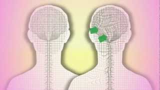 CranioSacral Therapy What is it How does it work by Tad Wanveer [upl. by Aram]