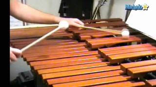 How to Play Xylophone for Beginners [upl. by Hercules707]