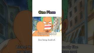 one Piece funny moment onepiece animefunny anime funny zoro [upl. by Lutim]