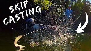 SKIP CASTING NEW MOLIX RT SHAD for Mangrove Jack [upl. by Hanej]