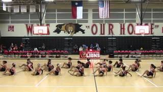 Woodcreek Lionettes bball jazz [upl. by Acirne]