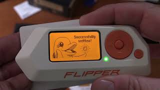 Is The Flipper Zero Useful For Anything [upl. by Llemrej]