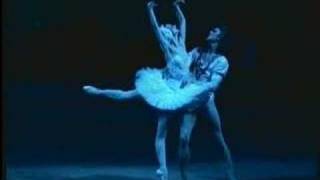 Bolshoi Swan Lake  Pas daction of Odette and Sigfried 2 [upl. by Aiem]