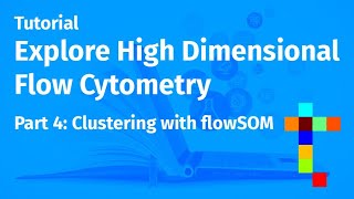 Explore High Dimensional Flow Cytometry  Part 4 Clustering with flowSOM [upl. by Cathrine505]