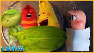 🅽🅴🆆 LARVA CARTOON 2023  Larva Family  The Best Of Funny Cartoons Box [upl. by Gan799]