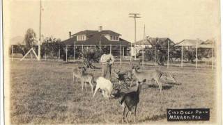 History of McAllen 19111920 [upl. by Paget91]